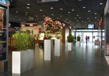 kvetiny na orechovce-intrierova zelen-shopping centrum Jihlava