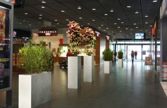 kvetiny na orechovce-intrierova zelen-shopping centrum Jihlava